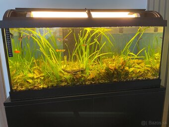 Predám kompletne zariadené 100 litrové akvárium - 2