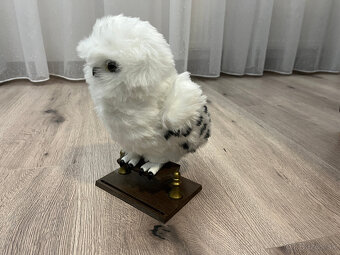 Predám HARRY POTTER Hedwiga - 2