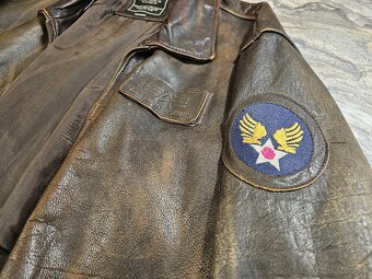 Alpha industries pilot - 2