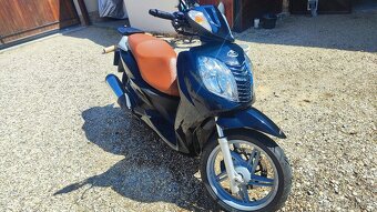 Malaguti Password Ck 250 - 2