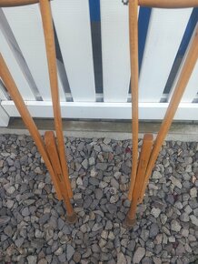 Barle sada 6 euro - 2