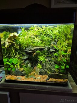 zariadené nové akvárium - 2