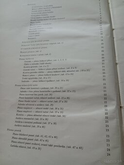 Písmo a jeho konstrukce - 2