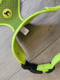 Postroj pre psa - 2
