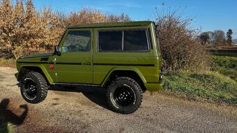 Mercedes g 300d w463 - 2