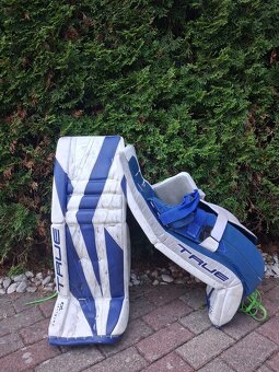 Predaj brankárskej výstroje TRUE CATALYST - 2