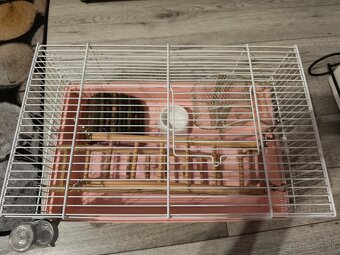 Klietka pre hlodavce - 2