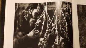 Jindrich Štreit - 2