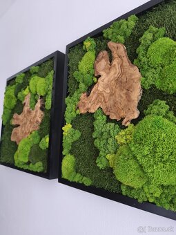 Machový obraz OLIVA - 2