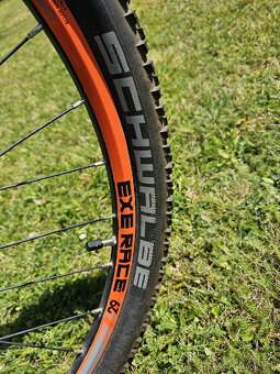 Leader Fox Arezo29 - 2