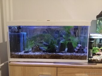 Predám akvárium - 2