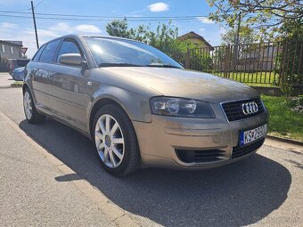 Audi A3 8P 1.9TDI 77KW BXE bez DPF - 2