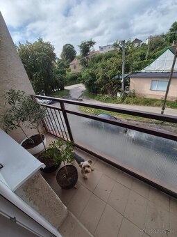 Predaj 3 iz. byt blízko Hlohovca - 2