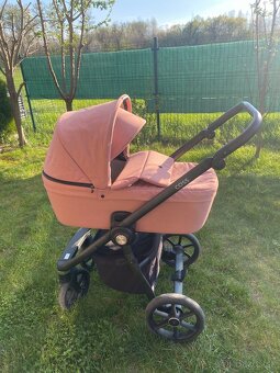 Kočík roan coss - 2