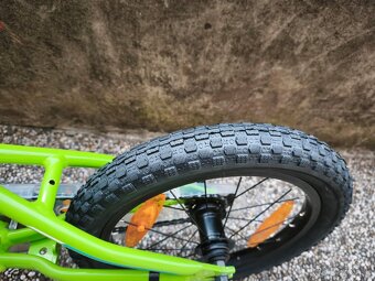 Author Record 16 - 2