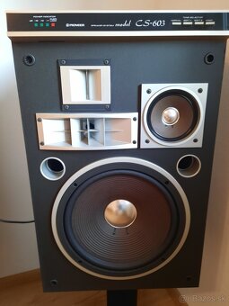 Pioneer CS 603 - 2
