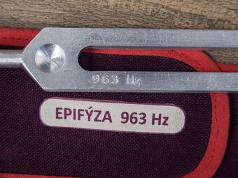 Ladička epifýza - 2