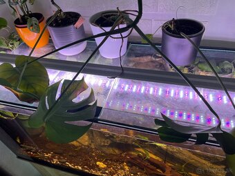 Akvarium 200l - 2