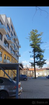 Prenájom parkovacieho miesta v centre - 2