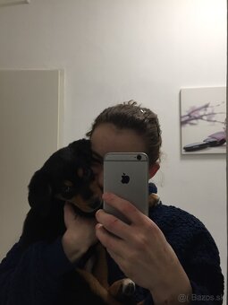 darujem steniatka - 2