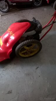 Bubnexa kosacka - 2