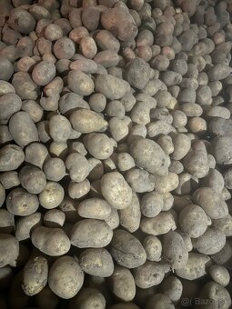 Nestriekané zemiaky - 2