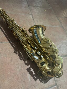 Saxafón alt Stewart Ellis - 2