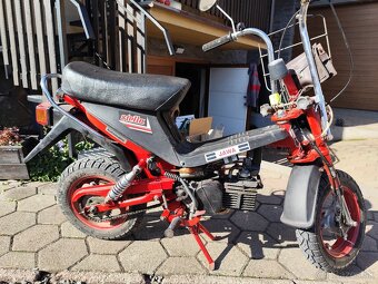 Babeta Stella 210 - 2