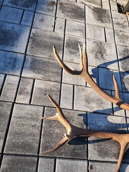 Zhody, parozie, parohy - 2