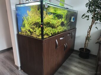 Predam akvarium 500 l. - 2