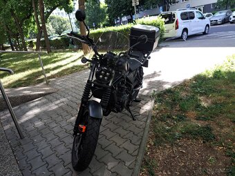 Predam HONDA CL 500 Scrambler - 2