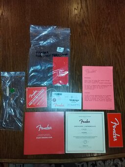 Fender Stratocaster performer USA - 2