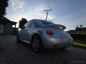 Beetle - 2