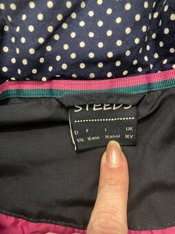 Vesta steeds - 2