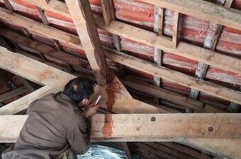 Oprava a servis strechy, úpravy a renovácie - 2