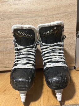 Korcule Bauer 4,5 - 2