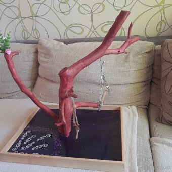 Papagáje, stromobidlá, strom pre papagáje - 2