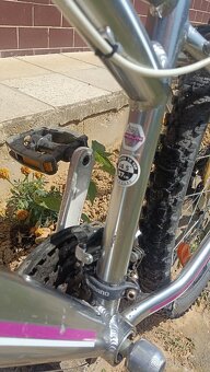 Damsky ( dievcensky bicykel) - 2