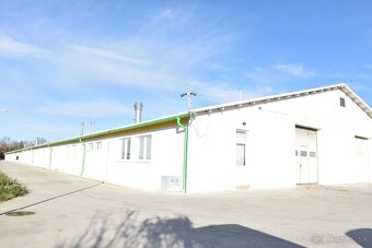 Cífer: Hala 2.682m2 na vlastnom pozemku 14 137m2 - 2