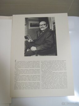 Nemčík Július 12 obrazov - 2