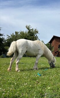 Pripúšťanie Pony - 2