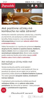 Ponúkam čajovú hubu KOMBUCHU - 2