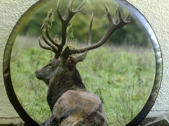 Ochranný obal na rezervné koleso - 2