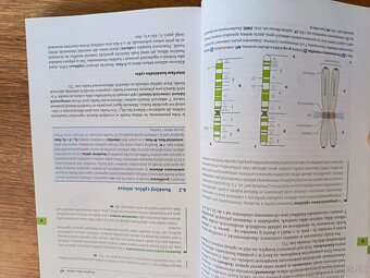 Histologie, Renate Lüllmann- Rauch - 2