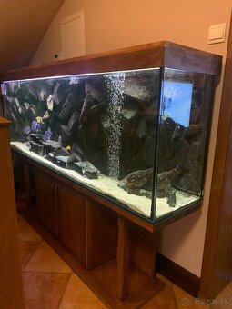 Akvarium - 2