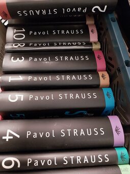 Strauss Suborne dielo - 2