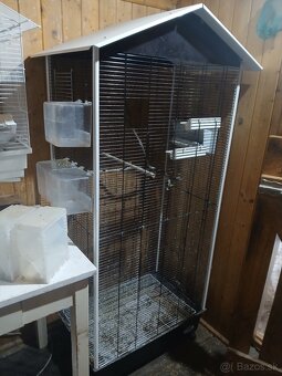 Predam klietku. - 2
