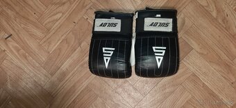 Predam vrece katsudo - 2