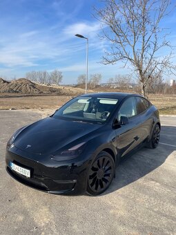 Predam Tesla model Y performance - 2