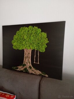 Machovy obraz 70x50 - 2